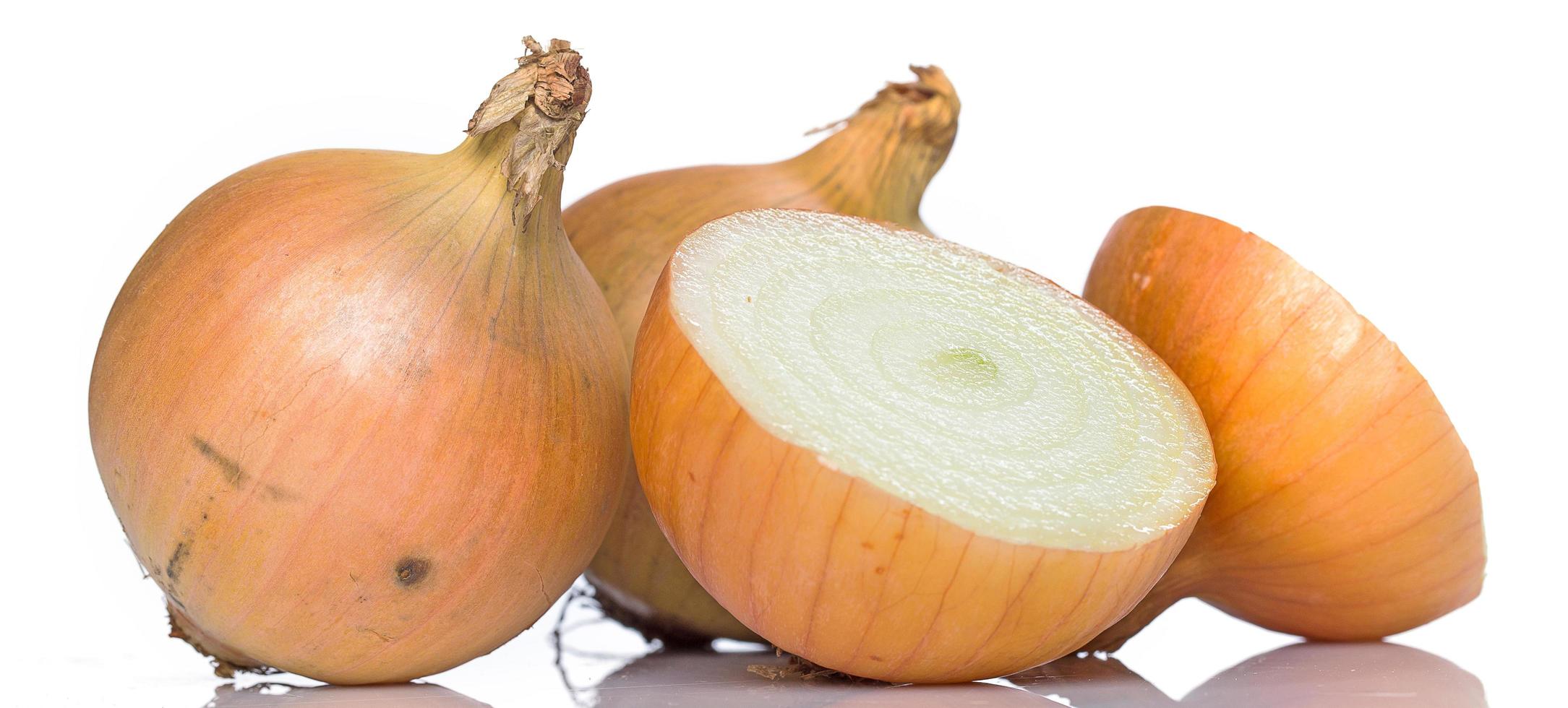 Fresh onion on white background photo