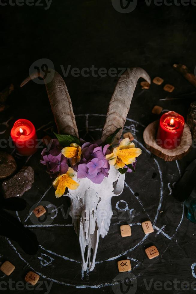 White goat scull with horns, flowers, open old book, candles on witch table. photo