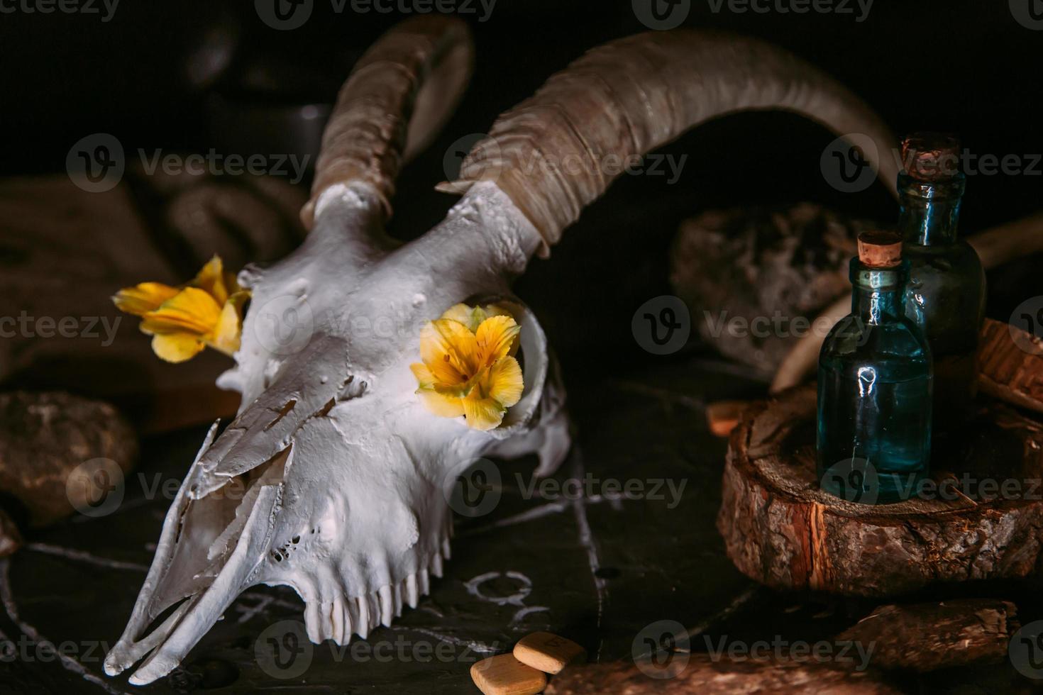 White goat scull with horns, flowers, open old book, candles on witch table. photo