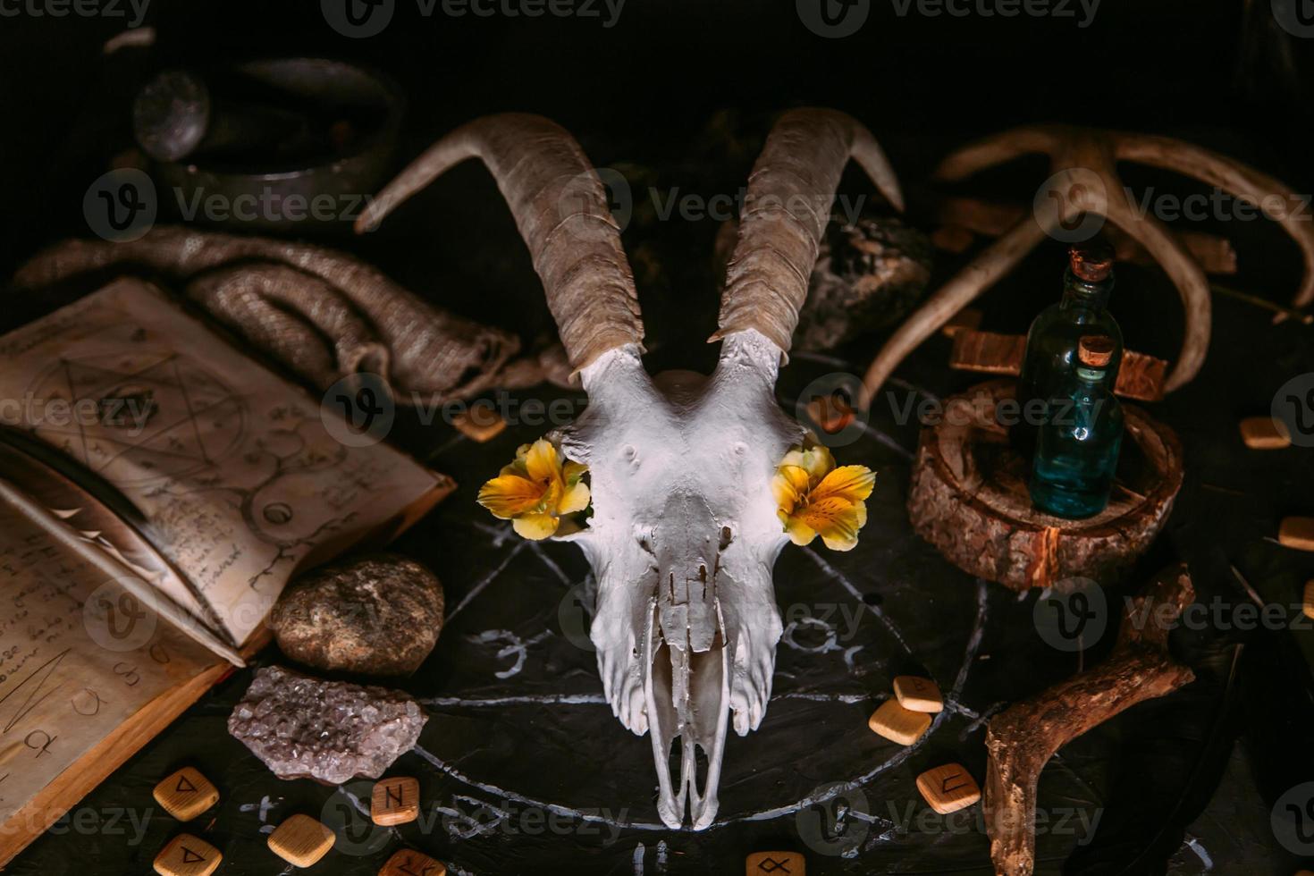White goat scull with horns, flowers, open old book, candles on witch table. photo