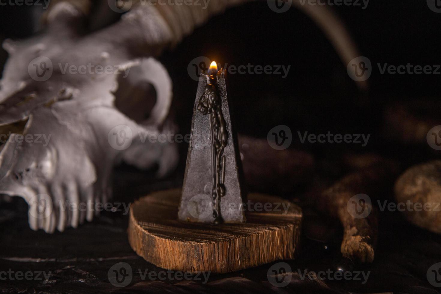 White goat scull with horns, open old book, magic spells, runes, black candles photo