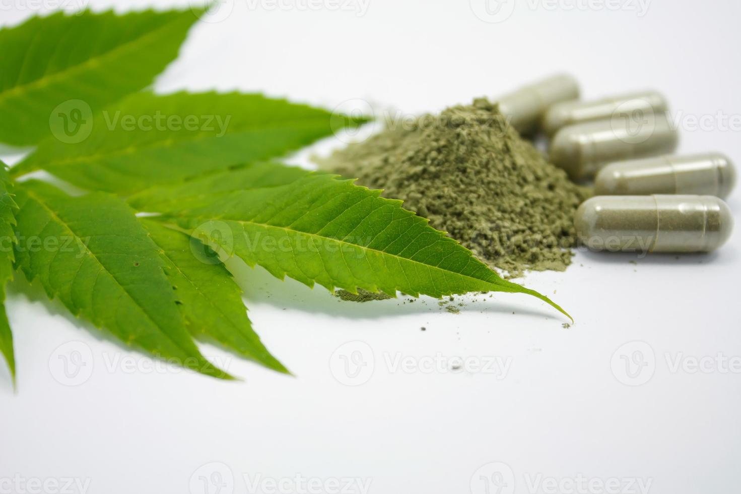 herbal medicine close up photo