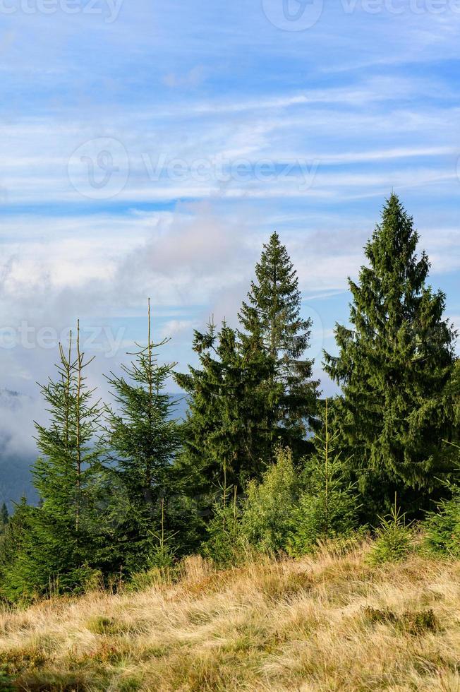 Landscapes of the Ukrainian Carpathians, a trip to the ridges of the mountains in Ukraine. photo