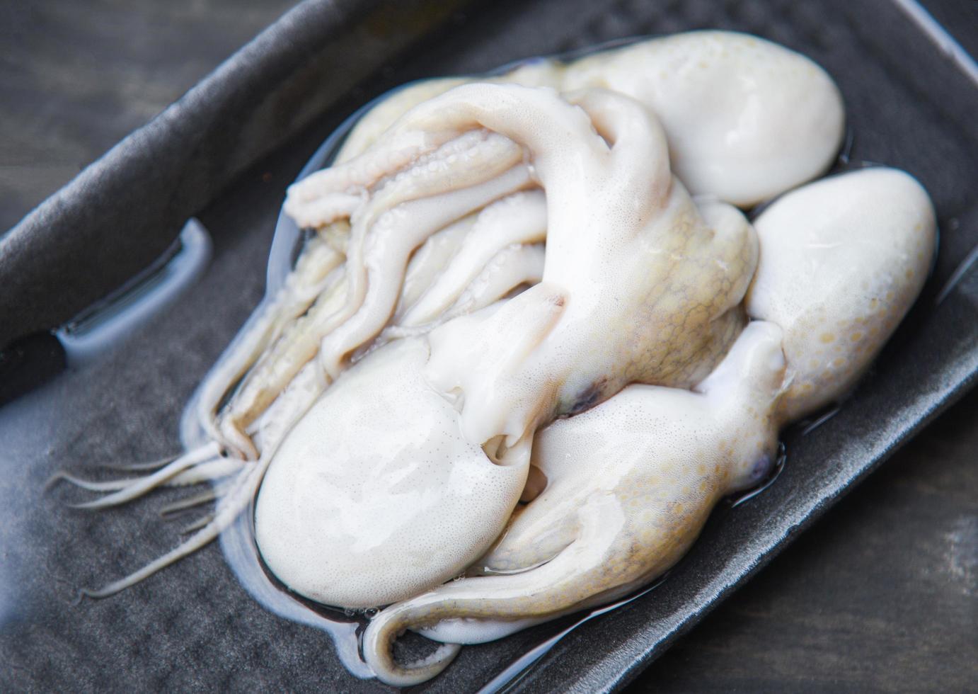 Fresh octopus raw squid seafood on tray photo