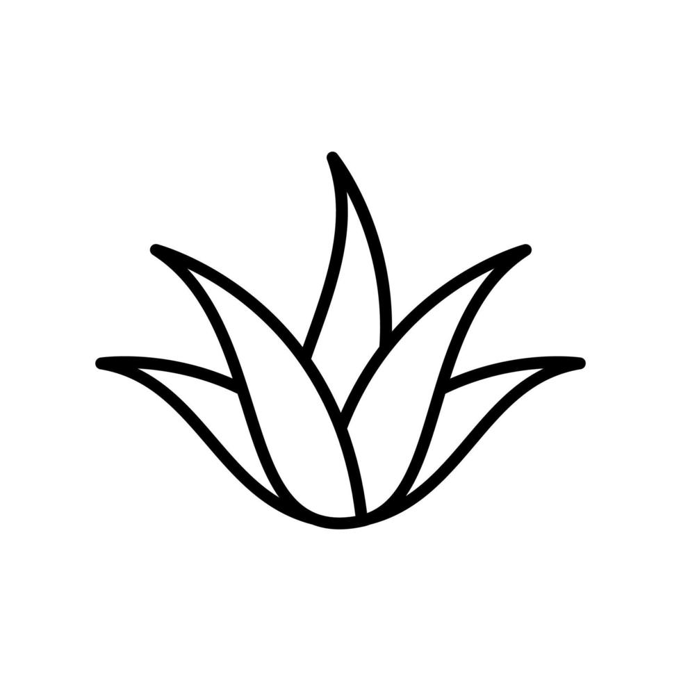 aloe vera vector icon