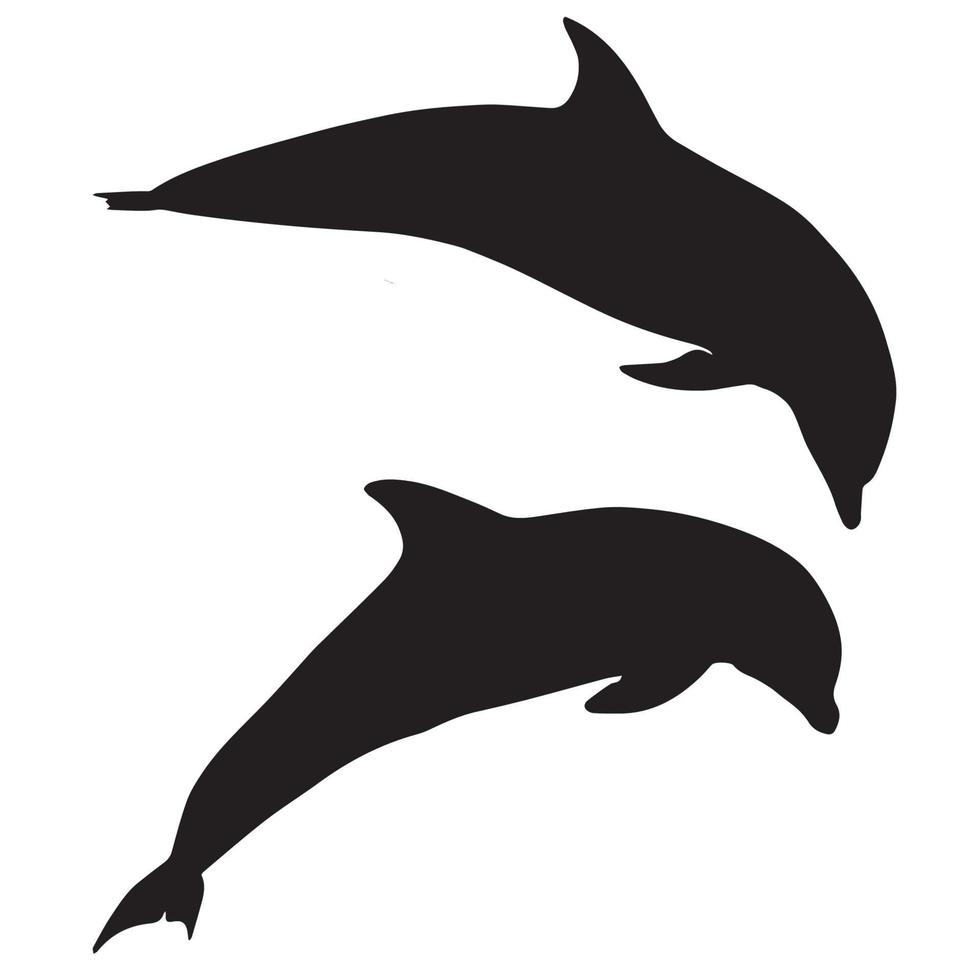 Dolphin Silhouette Art vector