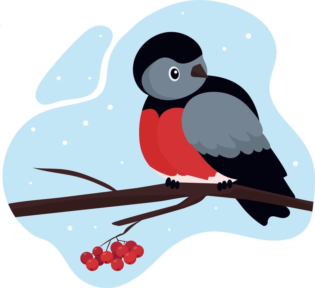 Bullfinch. Live bird sitting on a branch of a rowan tree. Red bunch of ripe berries vector