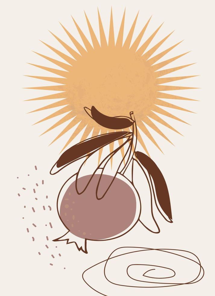 Pomegranate and leaves. with the rising sun in the background. Template with abstract composition. vector