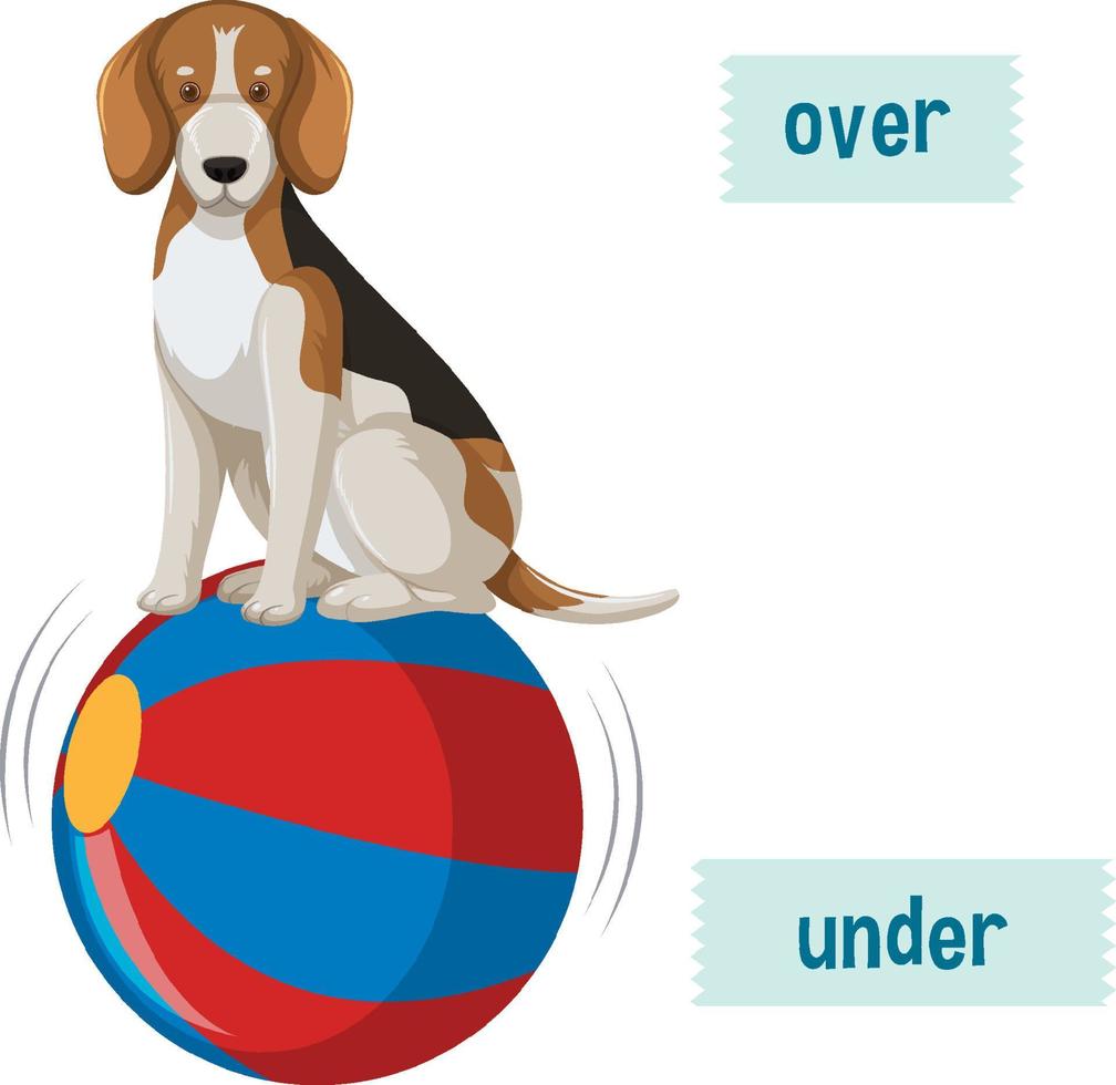 Preposition wordcard with dog on ball vector