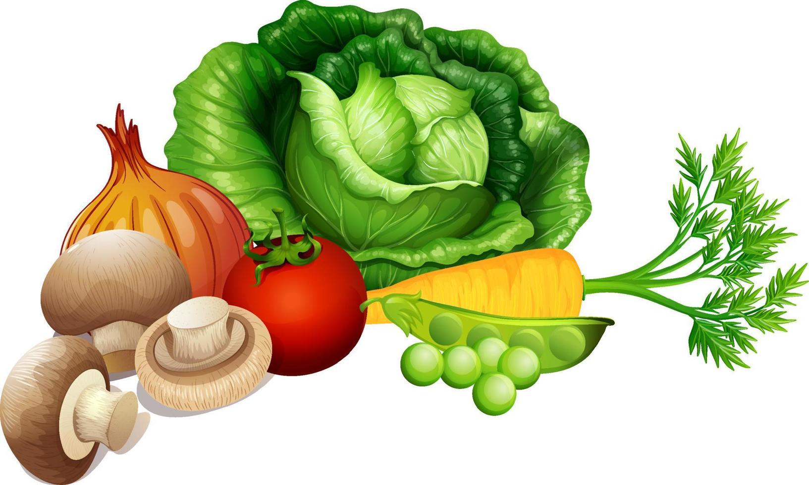 conjunto de verduras sobre fondo blanco vector