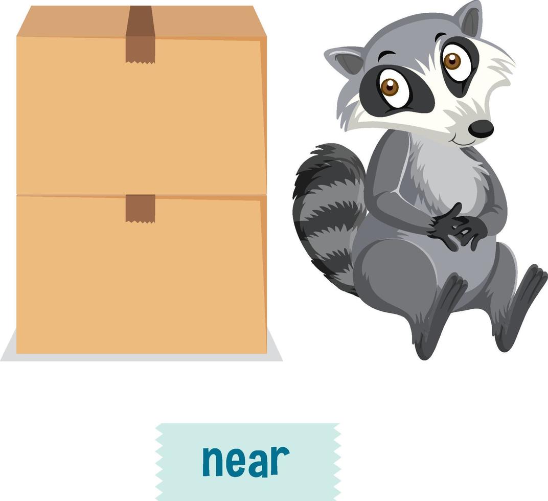 English prepositions with raccoons sitting near  box vector