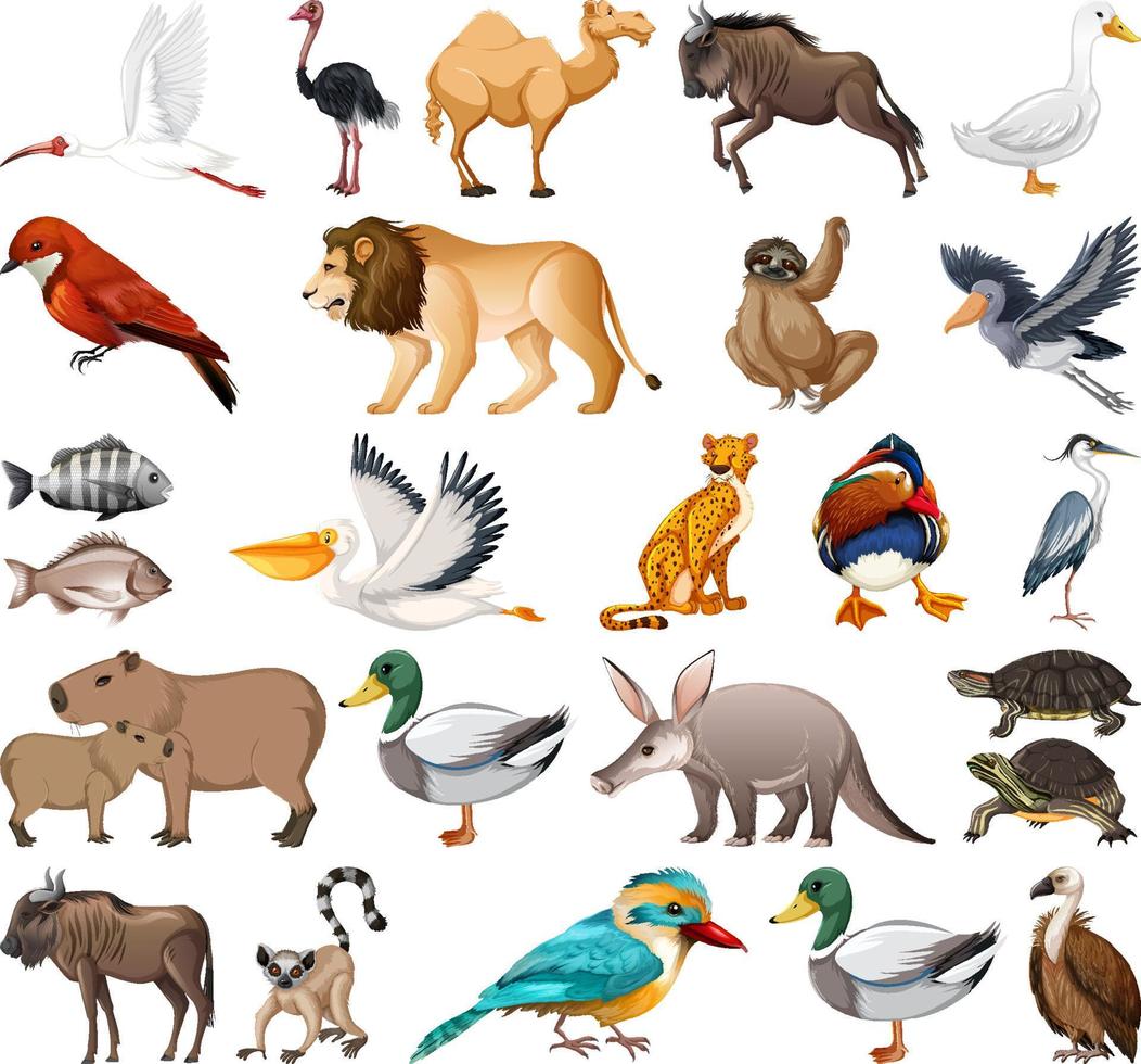 colección de diferentes tipos de animales vector