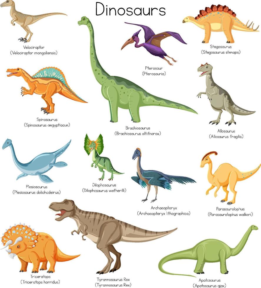 diferentes tipos de dinosaurios con nombres vector