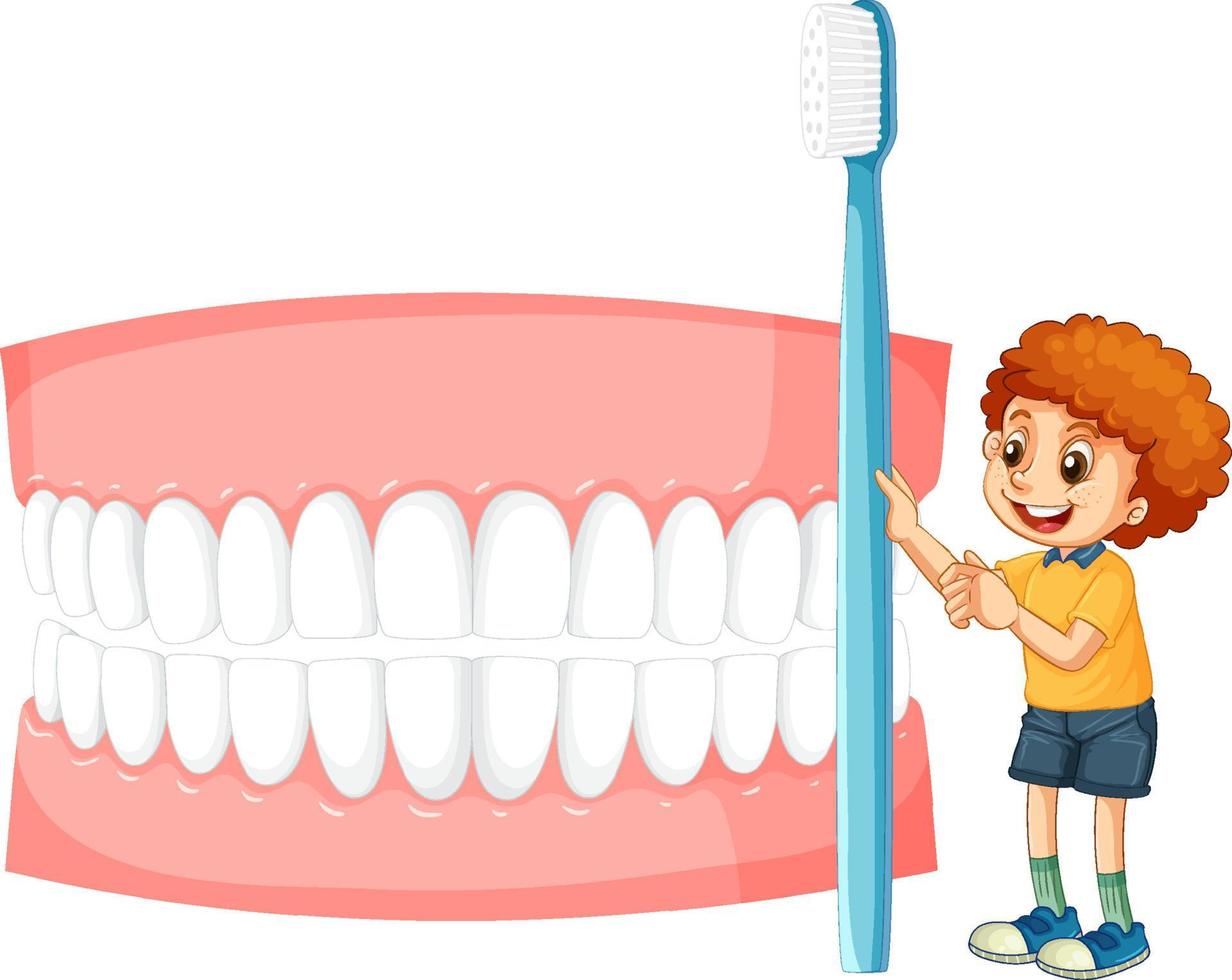 un niño pequeño sosteniendo un cepillo de dientes con dientes blancos sobre fondo blanco vector