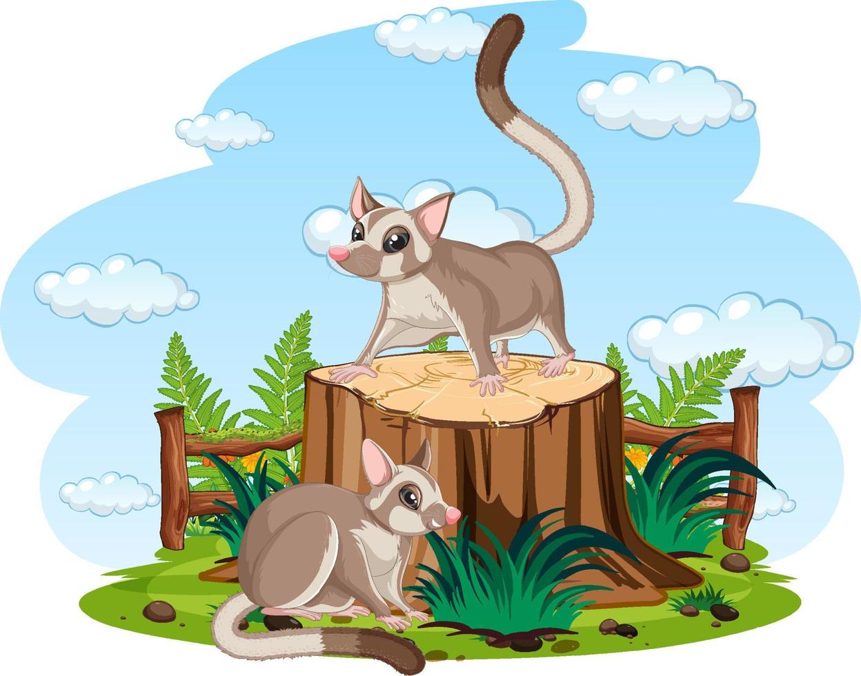 Two sugar gliders in the garden vector