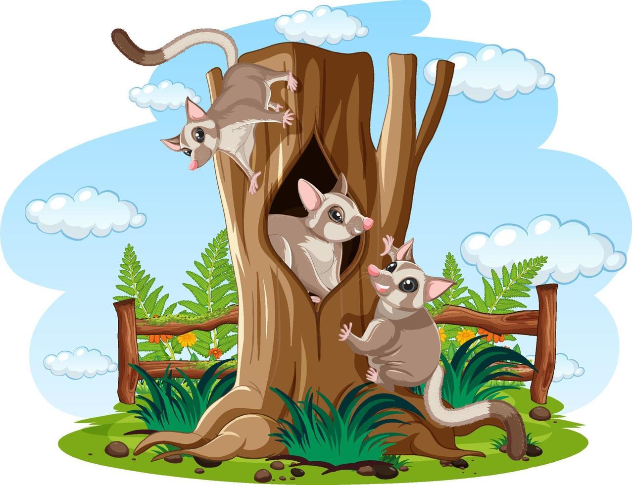 Three sugar gliders climbing wood vector