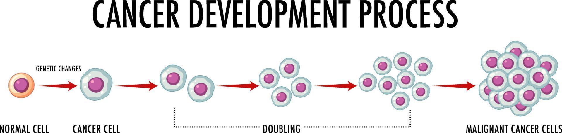 Cancer development process infographic vector