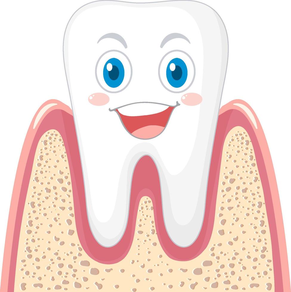 Happy strong tooth in gum on white background vector