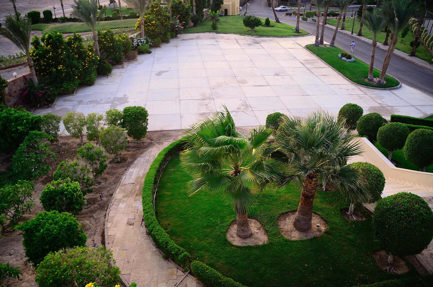 gardens with palm trees in Egypt photo