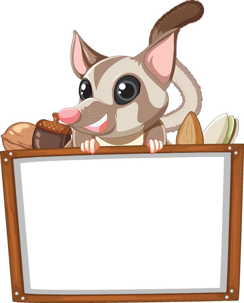 Sugar glider and blank whiteboard vector