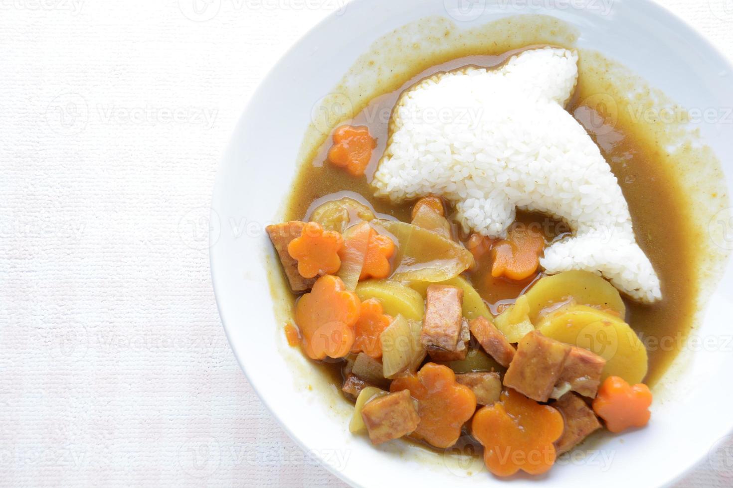 Japanese curry with dolphin rice shape and fried chicken. photo