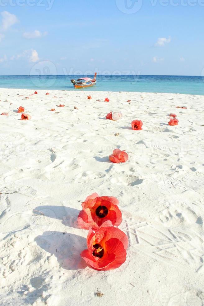 Blue sea, white sands and red Hibiscus flowers photo
