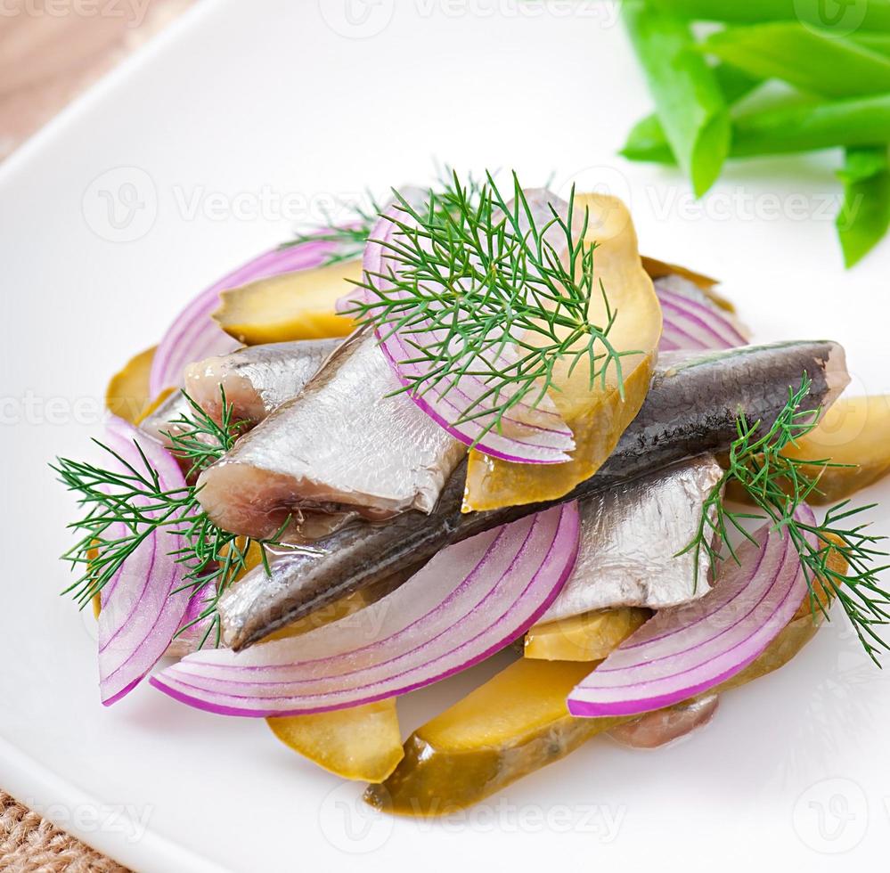 herring salad with pickled cucumbers and onions photo