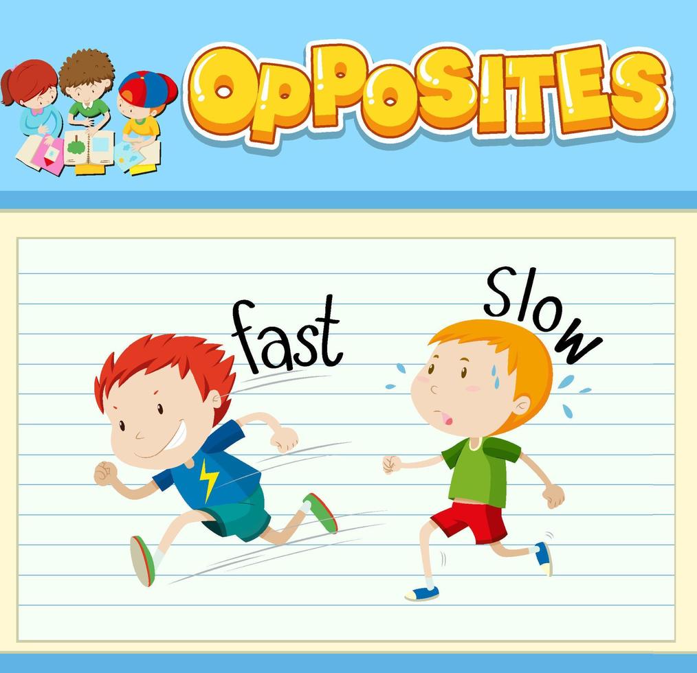 Education word card of English opposites word vector