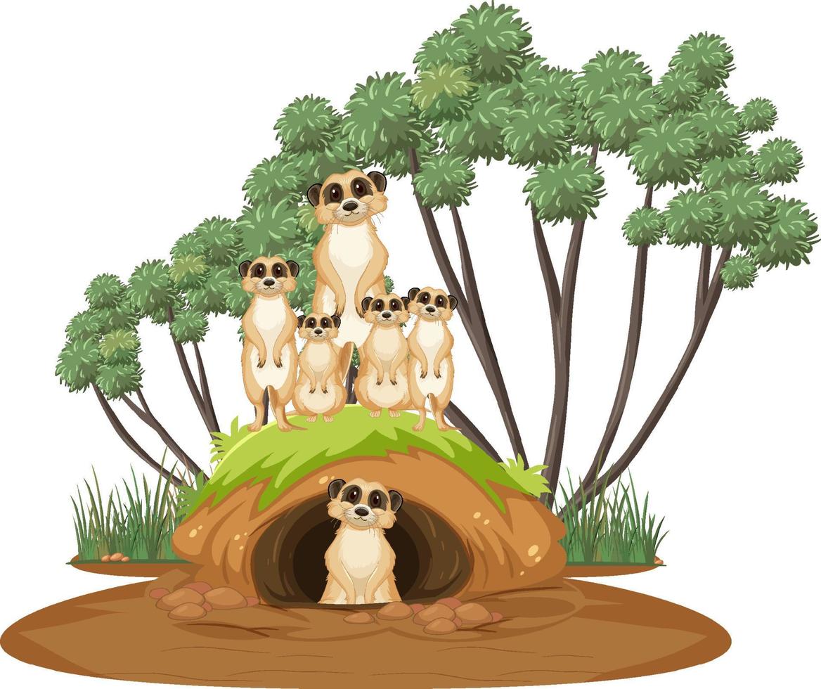 Group of meerkats with burrow in cartoon style vector