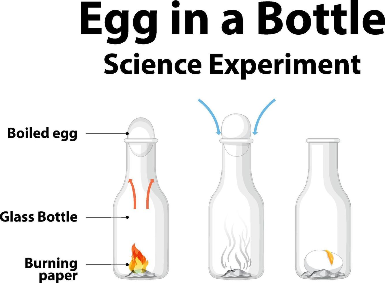 Science experiment to do at home with egg in a bottle vector