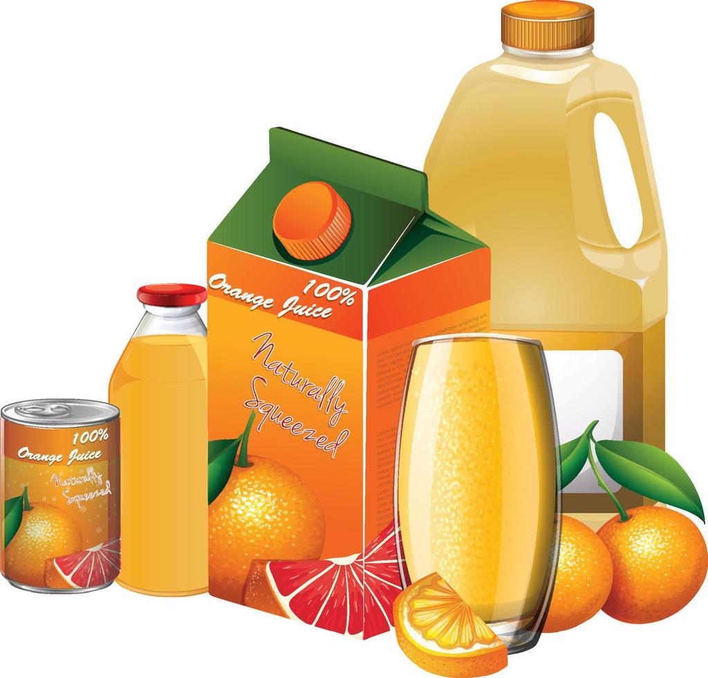 Set of orange products on white background vector