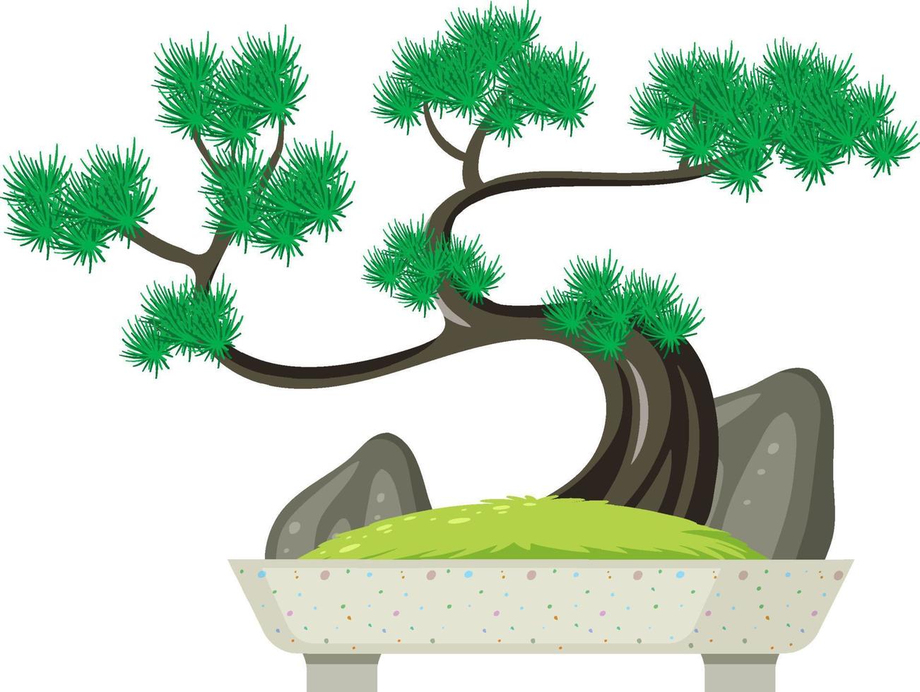 Bonsai tree in pot on white background vector