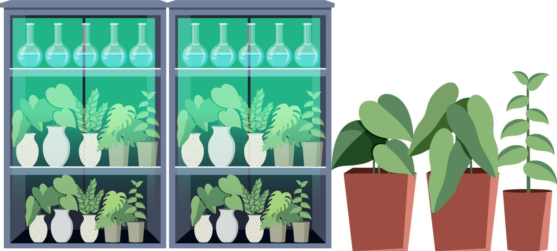 Plant shelves or green house vector