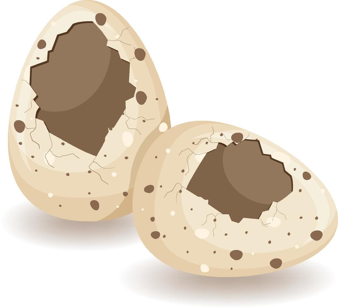 Egg shell cracking on white background vector