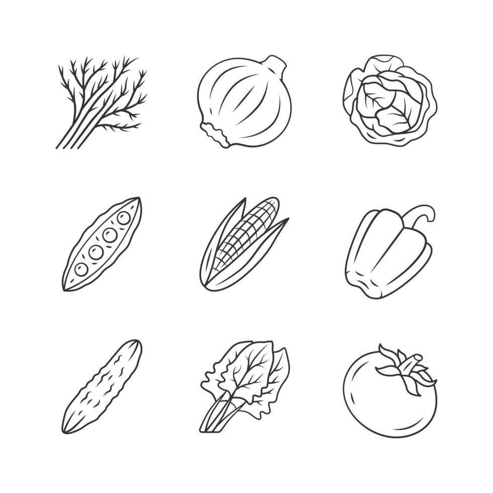 conjunto de iconos lineales de verduras. repollo, remolacha, maíz, tomate, pimiento. vitamina y dieta. nutrición saludable. símbolos de contorno de línea delgada. ilustraciones aisladas de contorno vectorial. trazo editable vector