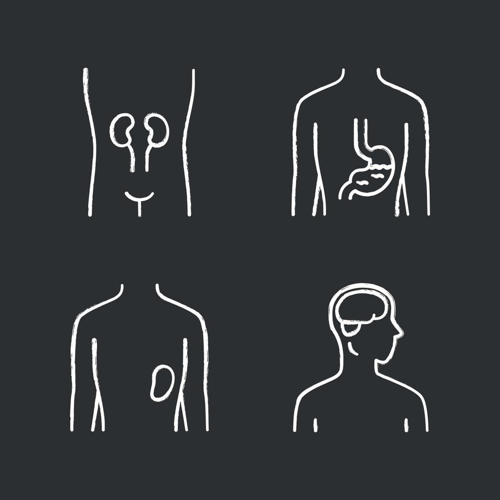 Healthy human organs chalk icons set. Kidney and spleen in good health. Functioning stomach. Wholesome brain. Internal body parts in good shape. Isolated vector chalkboard illustrations