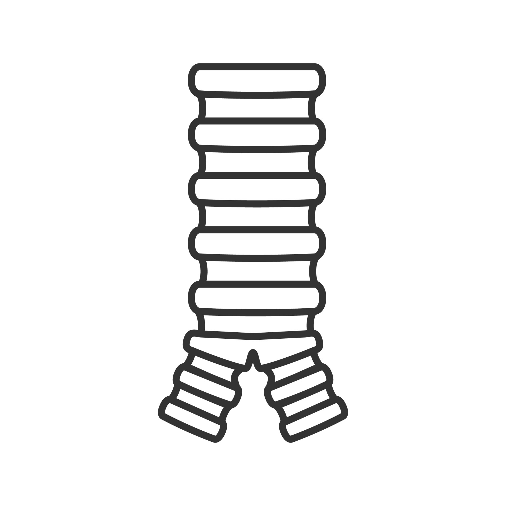 Trachea linear icon. Thin line illustration. Windpipe. Contour symbol