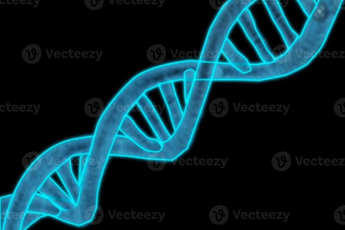 DNA double helix photo
