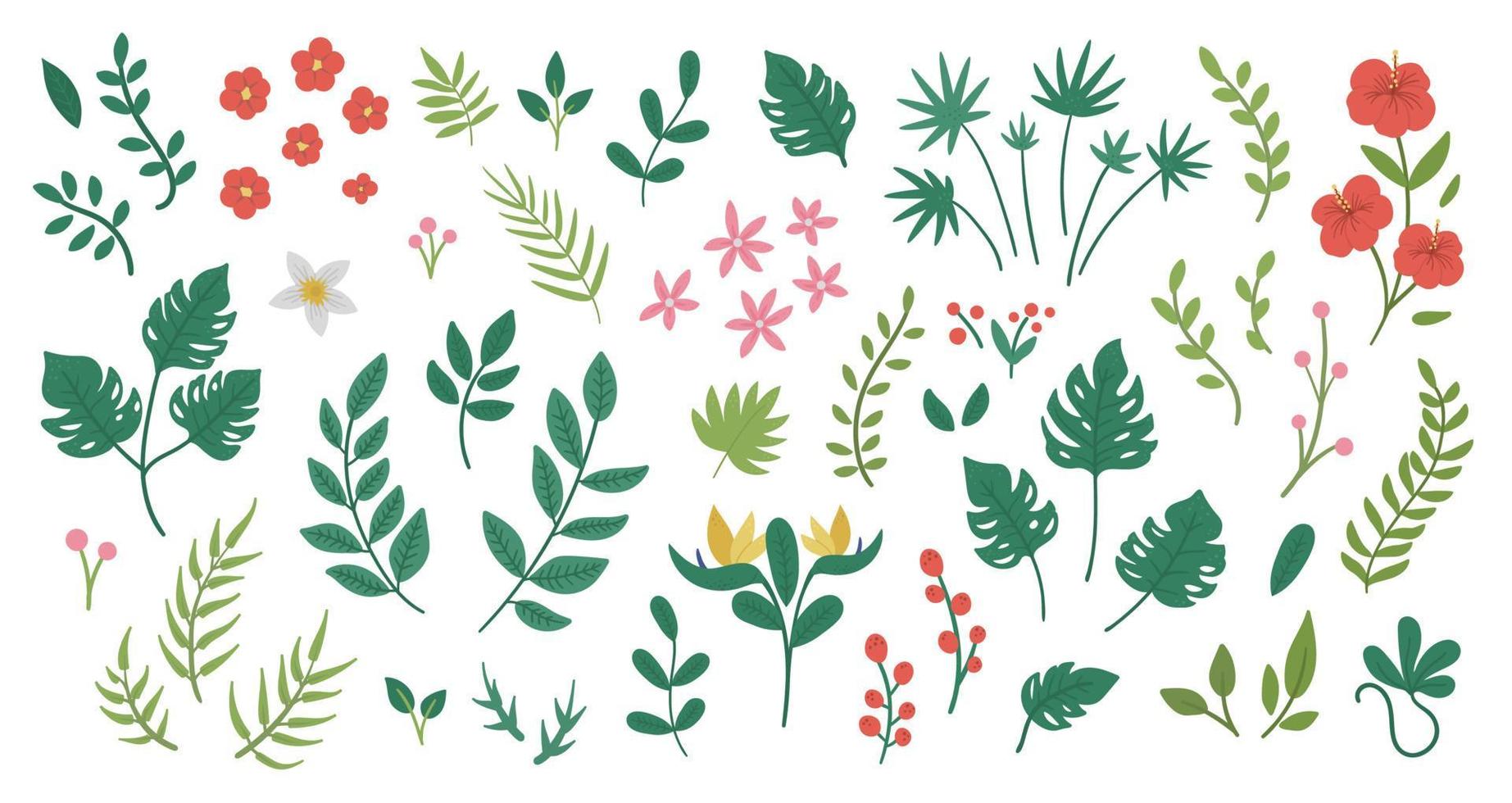 vector flores tropicales hojas y ramitas imágenes prediseñadas. follaje de la selva e ilustración floral. plantas exóticas planas dibujadas a mano aisladas sobre fondo blanco. imagen de vegetación de verano infantil brillante.