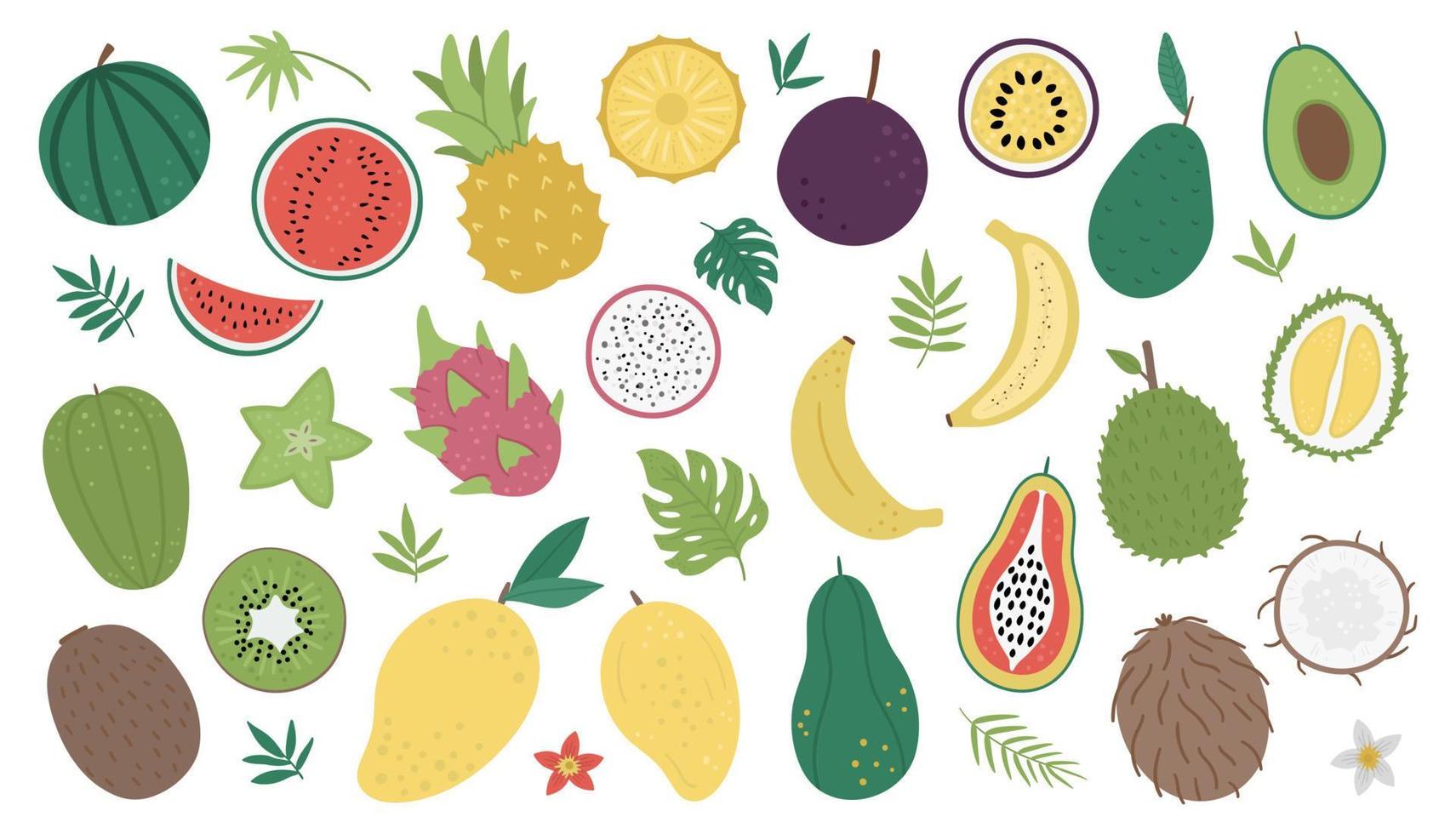 vector de frutas tropicales y bayas con rodajas y mitades de imágenes prediseñadas. ilustración de follaje de la selva. plantas exóticas dibujadas a mano aisladas sobre fondo blanco. ilustración de comida de verano saludable infantil brillante