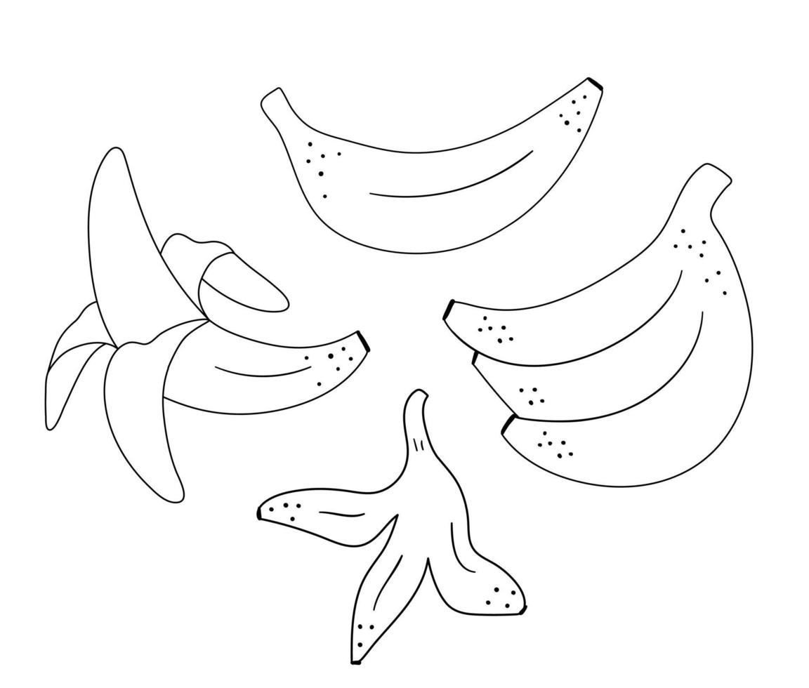 Vector banana outline set. Funny tropical exotic fruit black and white illustration. Fun coloring page for children. Jungle summer clip art collection