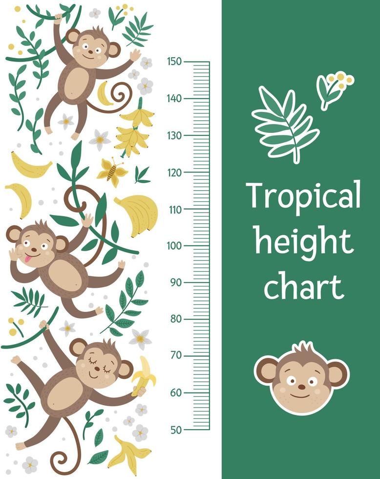 Vector cute height chart with monkey hanging on liana, bananas and tropical leaves. Funny wall decoration with exotic animal. Jungle summer meter poster for kids