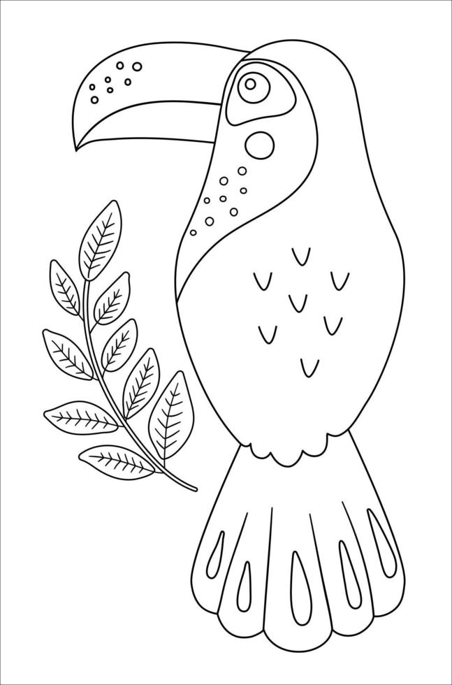 Vector cute toucan outline. Funny tropical exotic bird black and white illustration. Fun coloring page for children. Jungle summer clip art