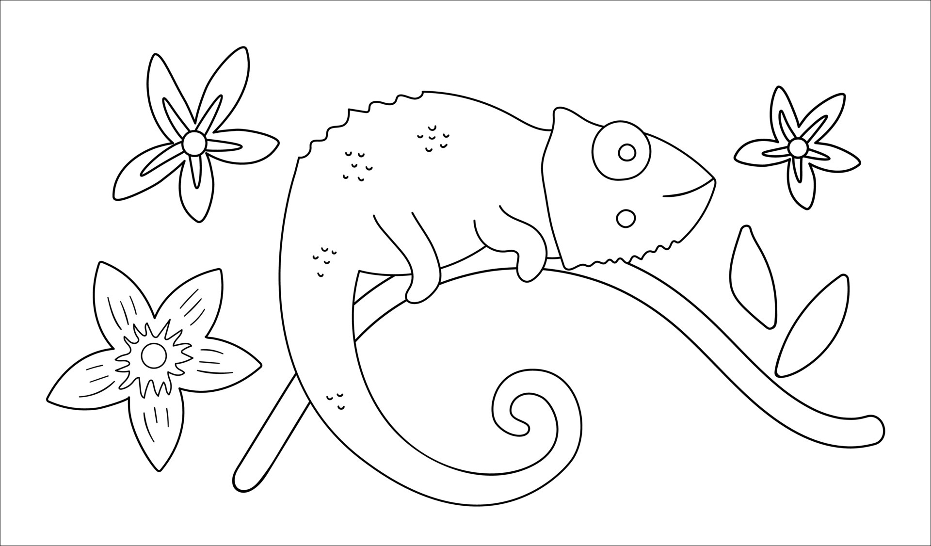 Vector cute chameleon on a tree brunch outline. Funny tropical exotic