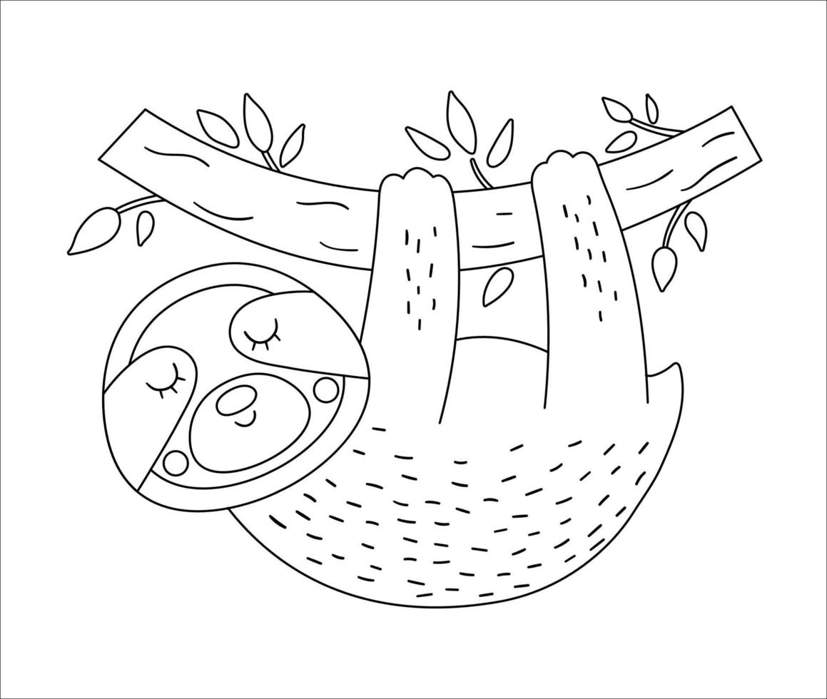 vector lindo perezoso colgando de un contorno de brunch de árbol. divertido animal exótico tropical ilustración en blanco y negro. divertida página para colorear para niños. imágenes prediseñadas de verano de la selva