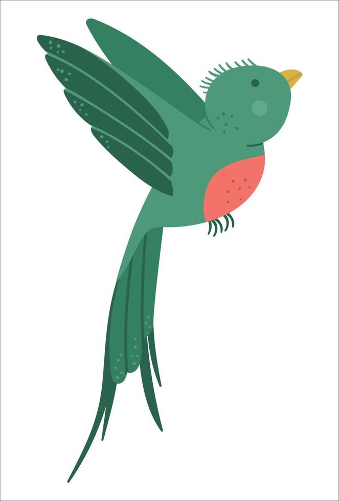 Vector cute funny flying quetzal isolated on white background. Funny tropical exotic bird illustration. Bright flat picture for children. Jungle summer clip art