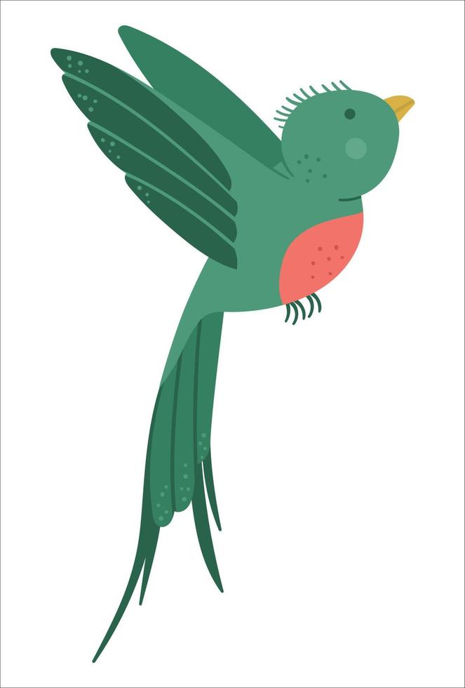 vector lindo divertido quetzal volador aislado sobre fondo blanco. divertida ilustración de aves exóticas tropicales. imagen plana brillante para niños. imágenes prediseñadas de verano de la selva