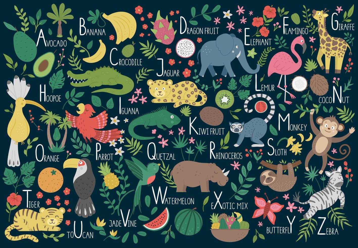 Tropical alphabet for children. Cute flat ABC with jungle animals, fruit, birds, plants. Horizontal layout funny poster for teaching reading on dark blue background. vector