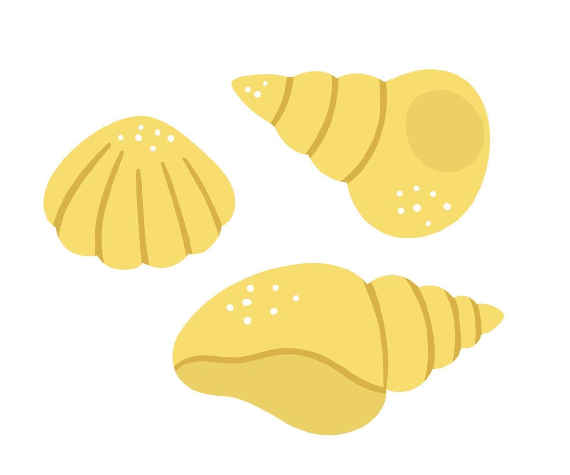 Vector seashells isolated on white background. Yellow seashells set. Summer clipart element. Cute flat illustration for kids. Vacation beach object.