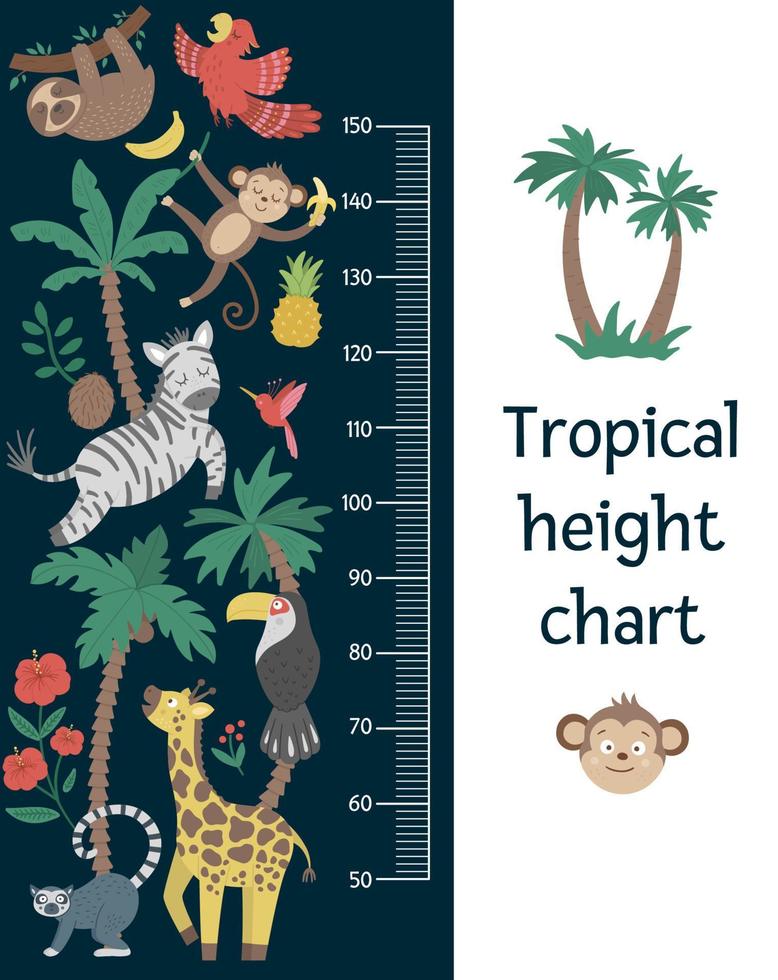 Vector cute height chart with exotic animals, birds, palm trees, leaves, flowers, fruits. Funny wall decoration with tropical monkey, zebra, lemur and plants. Jungle summer meter poster for kids